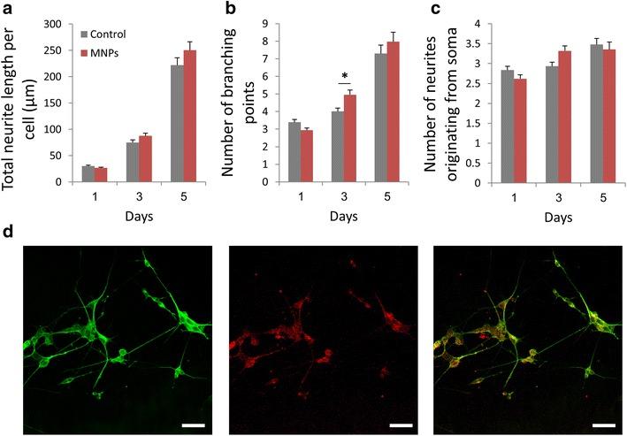 https://cdn.ncbi.nlm.nih.gov/pmc/blobs/535a/4867999/2542886ed904/12951_2016_190_Fig4_HTML.jpg