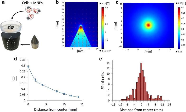 https://cdn.ncbi.nlm.nih.gov/pmc/blobs/535a/4867999/660bdd1c0e64/12951_2016_190_Fig6_HTML.jpg
