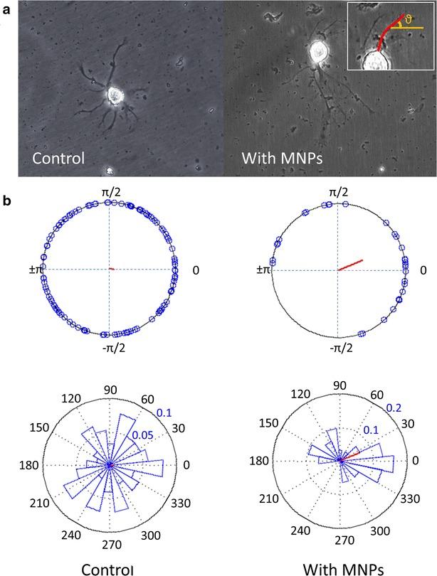 https://cdn.ncbi.nlm.nih.gov/pmc/blobs/535a/4867999/8d290057fa8b/12951_2016_190_Fig8_HTML.jpg