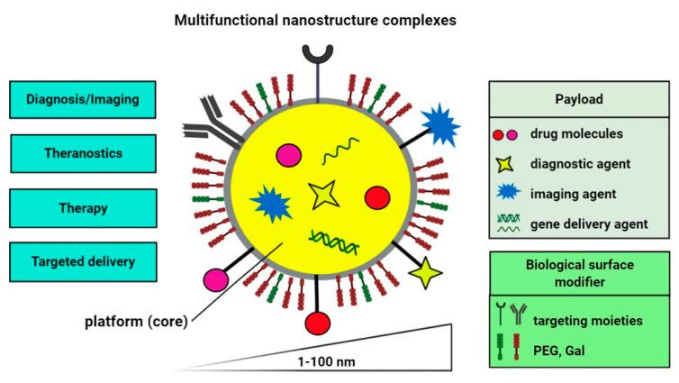 https://cdn.ncbi.nlm.nih.gov/pmc/blobs/535a/7764355/f97f10277188/cells-09-02659-g002.jpg