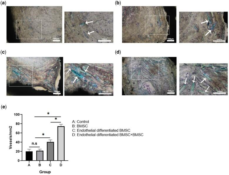 https://cdn.ncbi.nlm.nih.gov/pmc/blobs/535a/8481010/28255b0ae324/rbab051f8.jpg