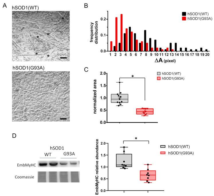 https://cdn.ncbi.nlm.nih.gov/pmc/blobs/535b/10706027/173d21a844ac/cells-12-02751-g001.jpg