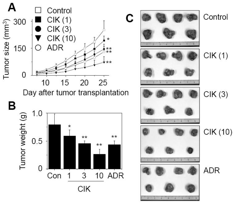 https://cdn.ncbi.nlm.nih.gov/pmc/blobs/535b/3566419/95f8bd9640f7/in-12-247-g003.jpg