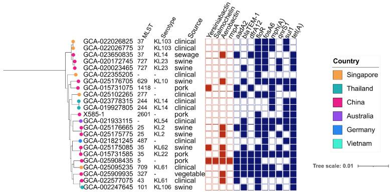 https://cdn.ncbi.nlm.nih.gov/pmc/blobs/535b/9858217/272942530dd1/genes-14-00036-g003.jpg