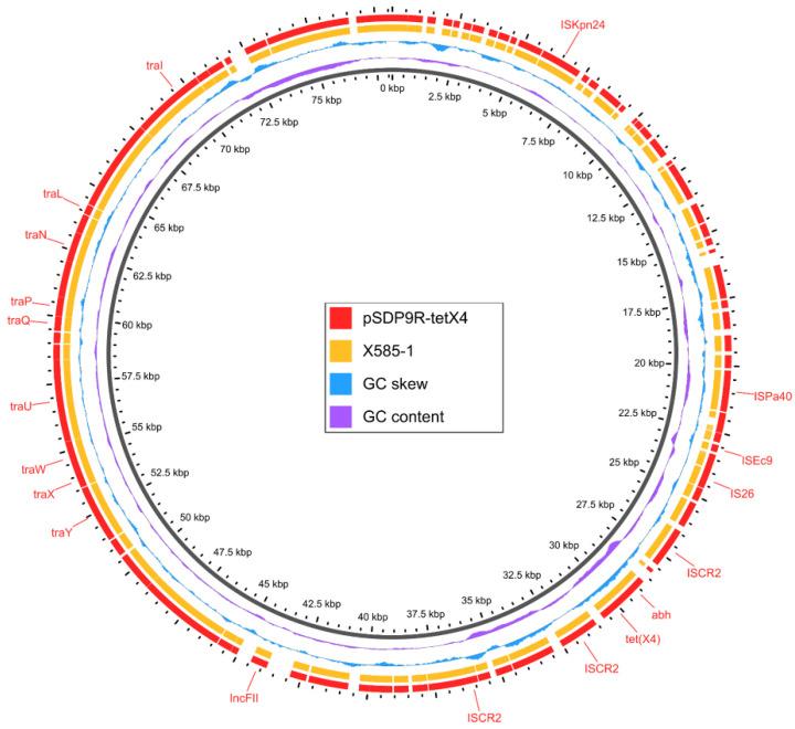 https://cdn.ncbi.nlm.nih.gov/pmc/blobs/535b/9858217/be4d510a454a/genes-14-00036-g004.jpg