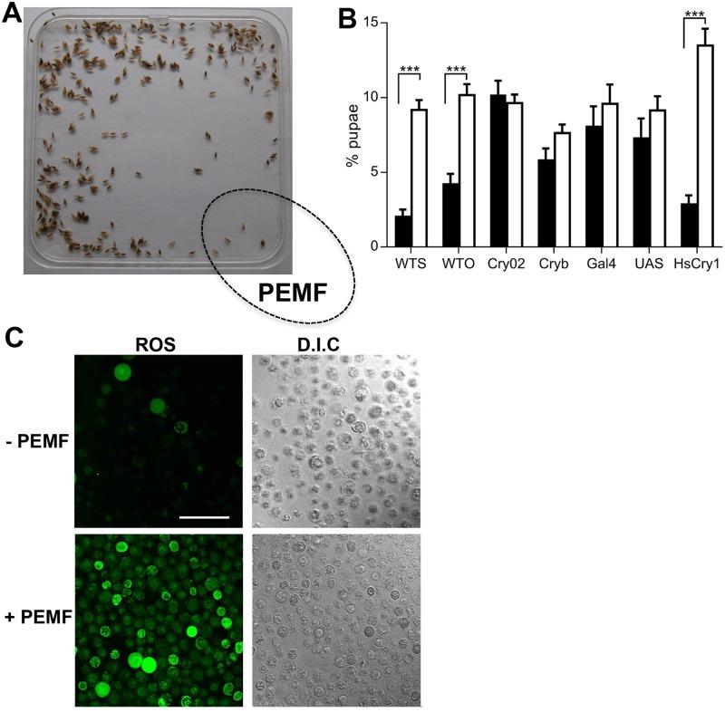 https://cdn.ncbi.nlm.nih.gov/pmc/blobs/535d/6168118/5548662965dc/pbio.2006229.g001.jpg