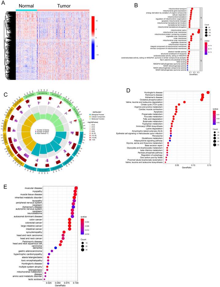 https://cdn.ncbi.nlm.nih.gov/pmc/blobs/5360/11039685/bf546b2d4bdb/41598_2024_60068_Fig1_HTML.jpg