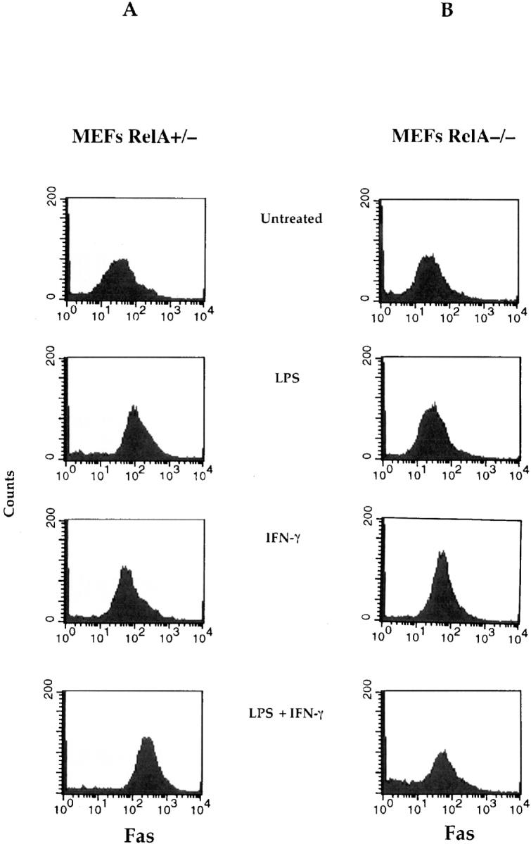 https://cdn.ncbi.nlm.nih.gov/pmc/blobs/5360/2193051/a742e6050718/JEM981997.f3.jpg
