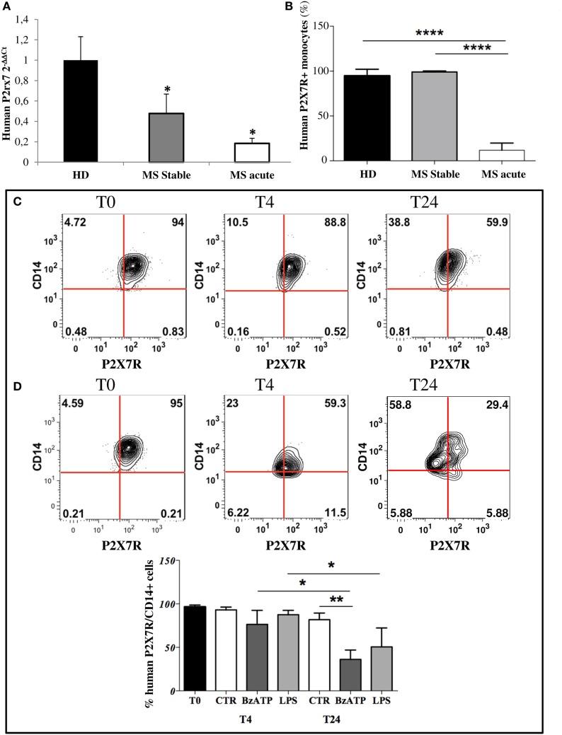https://cdn.ncbi.nlm.nih.gov/pmc/blobs/5360/5694754/4217e6f7f974/fimmu-08-01529-g001.jpg
