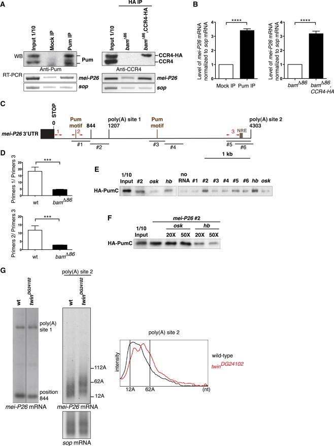 https://cdn.ncbi.nlm.nih.gov/pmc/blobs/5362/3841267/41721602c73e/gr5.jpg