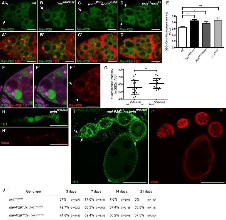 https://cdn.ncbi.nlm.nih.gov/pmc/blobs/5362/3841267/656ee2c50743/gr6.jpg