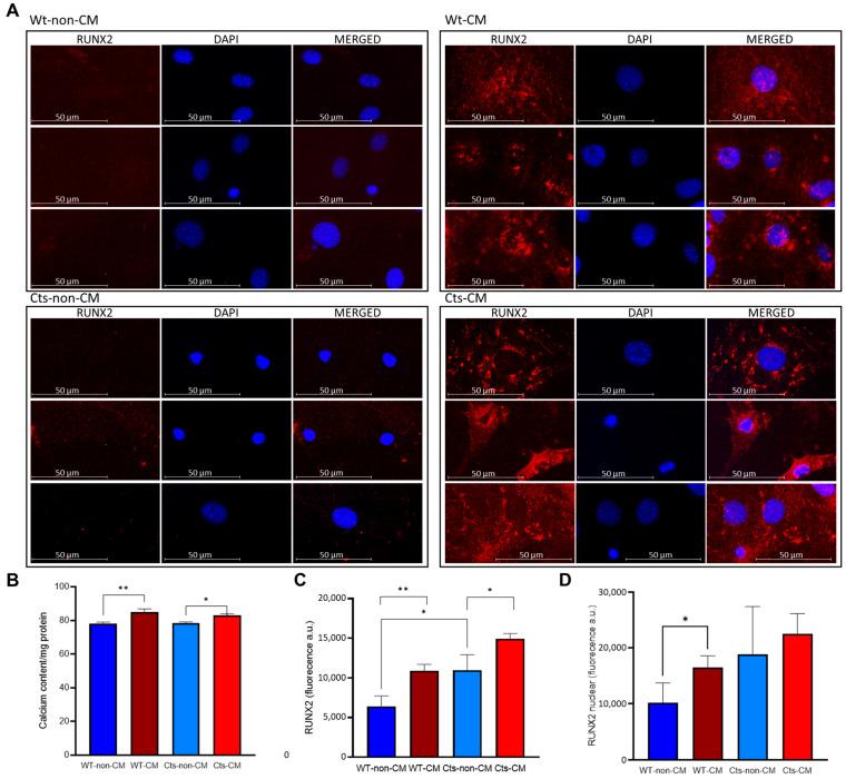 https://cdn.ncbi.nlm.nih.gov/pmc/blobs/5366/10526886/ce4c29f329b6/biomolecules-13-01419-g003.jpg