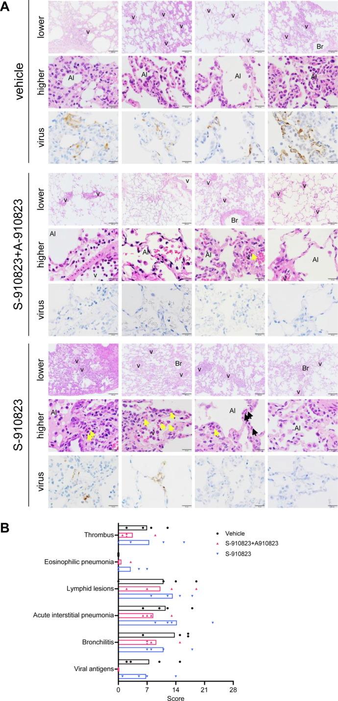 https://cdn.ncbi.nlm.nih.gov/pmc/blobs/5366/9167832/cd1a4e698a43/gr5_lrg.jpg