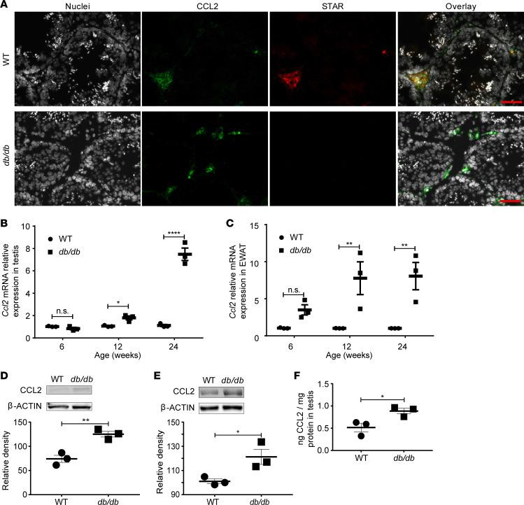 https://cdn.ncbi.nlm.nih.gov/pmc/blobs/5367/7710294/757fc6c1dfec/jciinsight-5-134882-g196.jpg