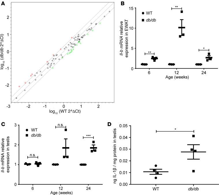 https://cdn.ncbi.nlm.nih.gov/pmc/blobs/5367/7710294/8701cdc76061/jciinsight-5-134882-g195.jpg