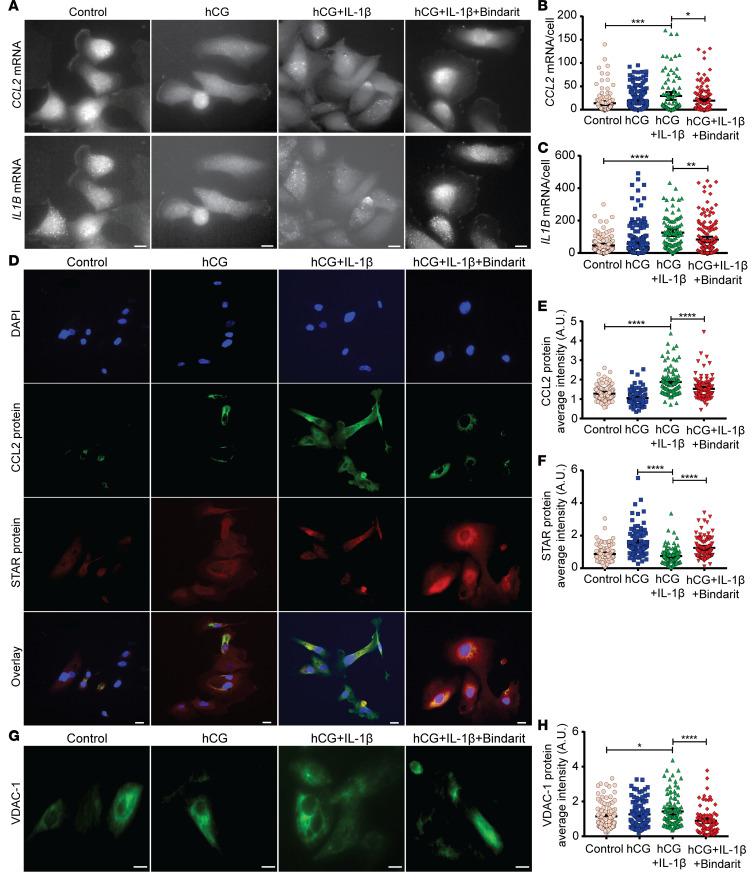 https://cdn.ncbi.nlm.nih.gov/pmc/blobs/5367/7710294/c7134c6406cc/jciinsight-5-134882-g199.jpg