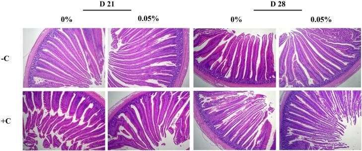 https://cdn.ncbi.nlm.nih.gov/pmc/blobs/5368/12167796/3edf0b90cf97/gr3.jpg