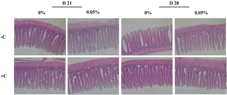 https://cdn.ncbi.nlm.nih.gov/pmc/blobs/5368/12167796/e5d61c416c68/gr4.jpg