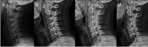 https://cdn.ncbi.nlm.nih.gov/pmc/blobs/5368/7206362/b7763f6d565c/or-12-1-8359-g002.jpg