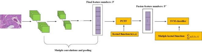https://cdn.ncbi.nlm.nih.gov/pmc/blobs/5369/11467218/786565f06e3b/41598_2024_74025_Fig1_HTML.jpg