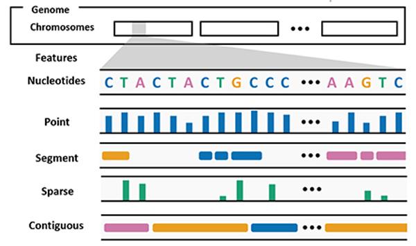 https://cdn.ncbi.nlm.nih.gov/pmc/blobs/536a/10067538/3698af9234dc/nihms-1846026-f0002.jpg