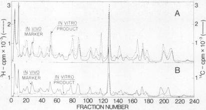 https://cdn.ncbi.nlm.nih.gov/pmc/blobs/536b/433159/327c35441017/pnas00053-0378-a.jpg