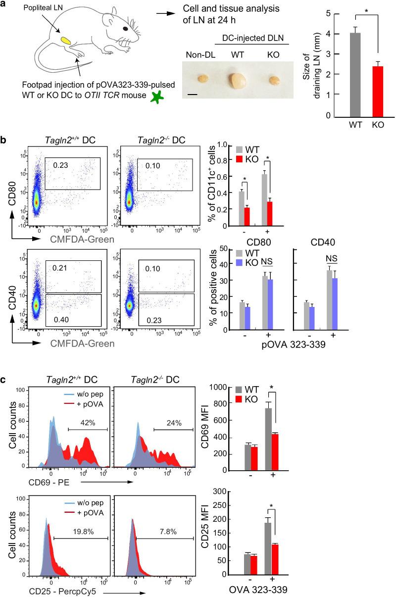 https://cdn.ncbi.nlm.nih.gov/pmc/blobs/536b/7968273/692837d62482/13045_2021_1058_Fig4_HTML.jpg