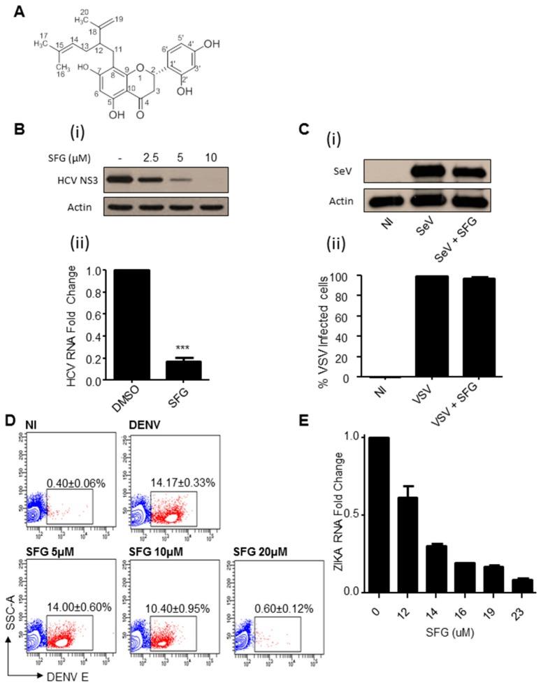 https://cdn.ncbi.nlm.nih.gov/pmc/blobs/5371/5691638/46130b14f943/viruses-09-00287-g001.jpg