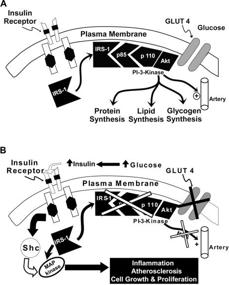 https://cdn.ncbi.nlm.nih.gov/pmc/blobs/5372/2941781/178fc7e2bef6/vhrm-6-671f1.jpg