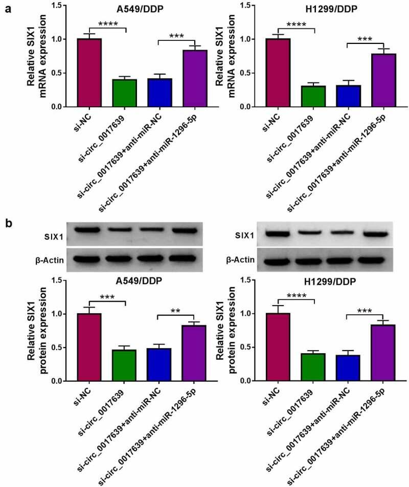 https://cdn.ncbi.nlm.nih.gov/pmc/blobs/5372/9161884/8bbbfce072f6/KBIE_A_2053810_F0007_OC.jpg