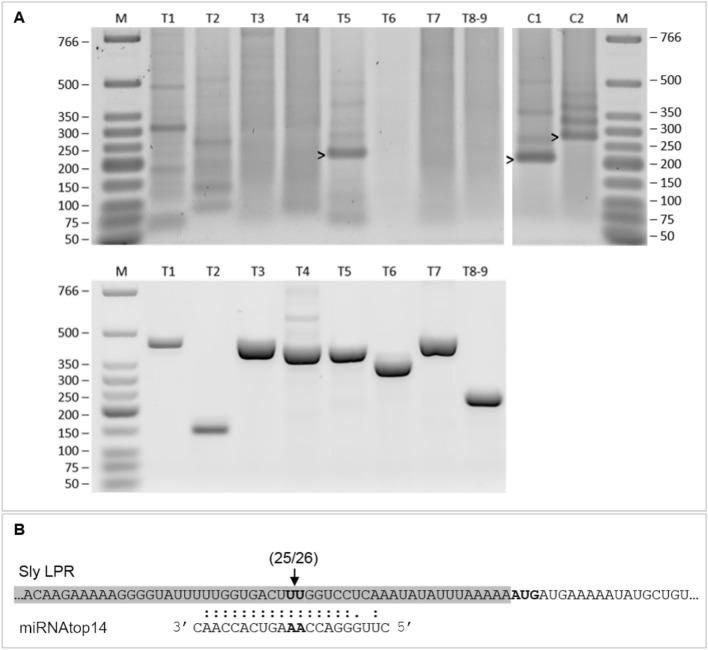 https://cdn.ncbi.nlm.nih.gov/pmc/blobs/5373/11706861/1e28a9b4ec80/425_2024_4596_Fig6_HTML.jpg