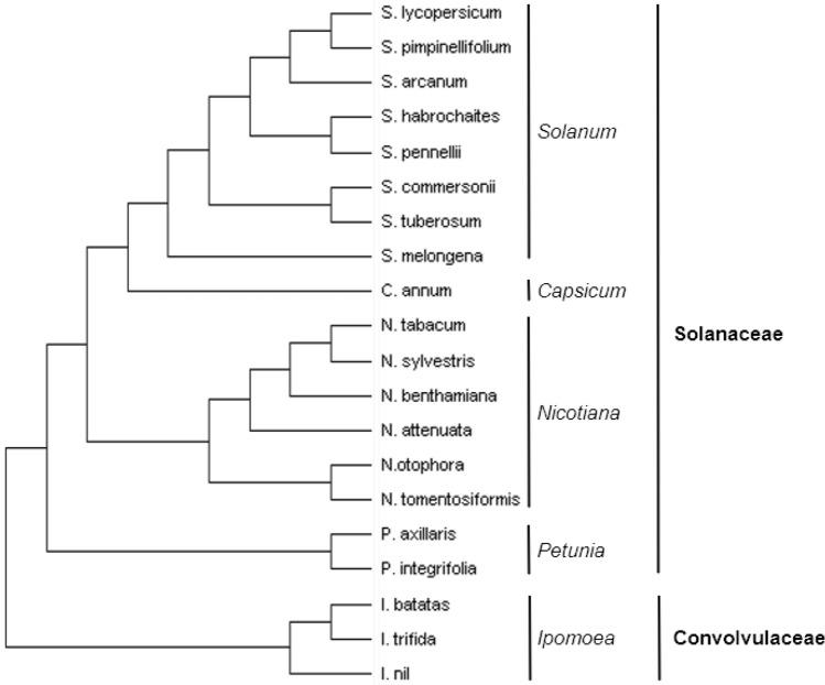 https://cdn.ncbi.nlm.nih.gov/pmc/blobs/5373/11706861/b0cc33ef7ff5/425_2024_4596_Fig3_HTML.jpg