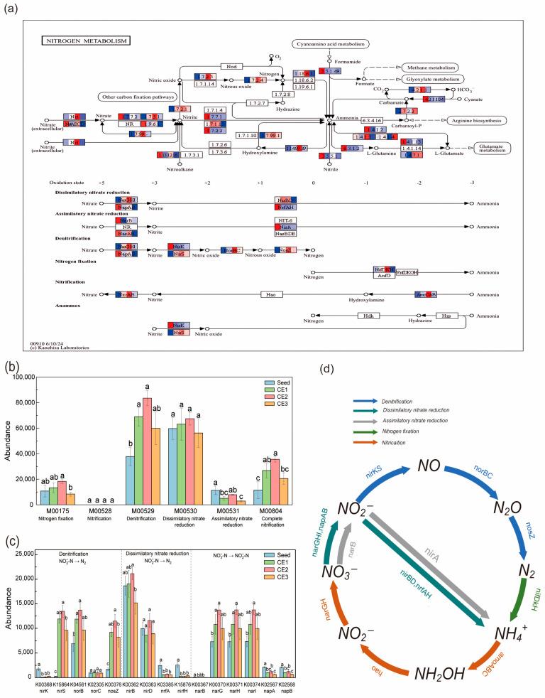https://cdn.ncbi.nlm.nih.gov/pmc/blobs/5373/12195522/fb7c9b2cf981/microorganisms-13-01187-g008.jpg