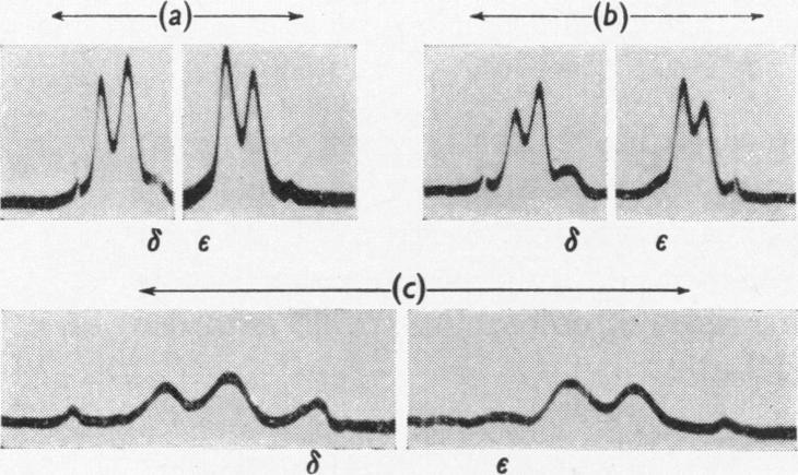https://cdn.ncbi.nlm.nih.gov/pmc/blobs/5374/1206412/90ee6fe73c85/biochemj00771-0100-a.jpg