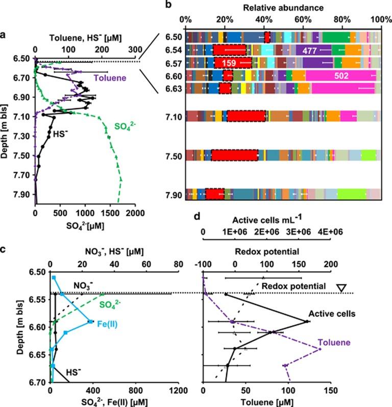 https://cdn.ncbi.nlm.nih.gov/pmc/blobs/5377/5029170/a804d9340d02/ismej2015250f3.jpg