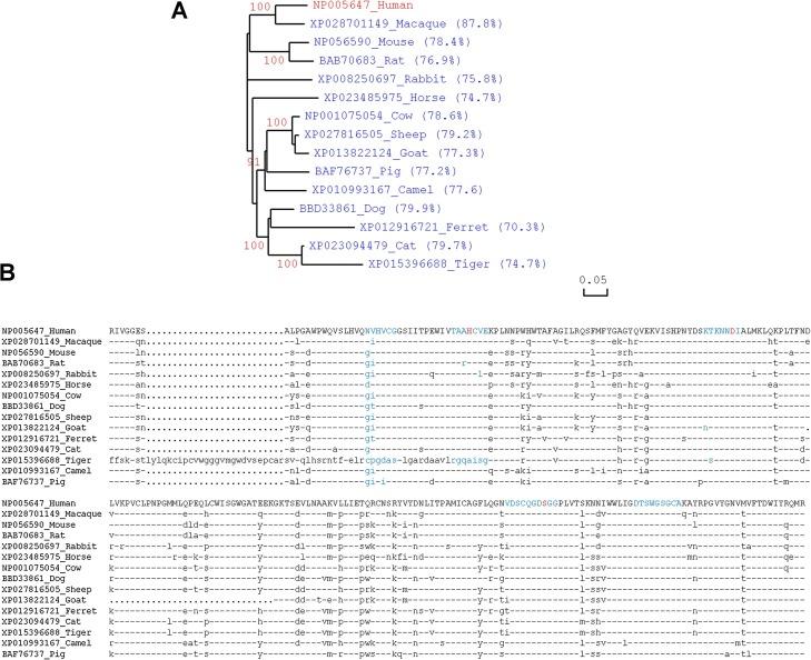 https://cdn.ncbi.nlm.nih.gov/pmc/blobs/5379/7480320/0c4ea23d38fc/gr3_lrg.jpg