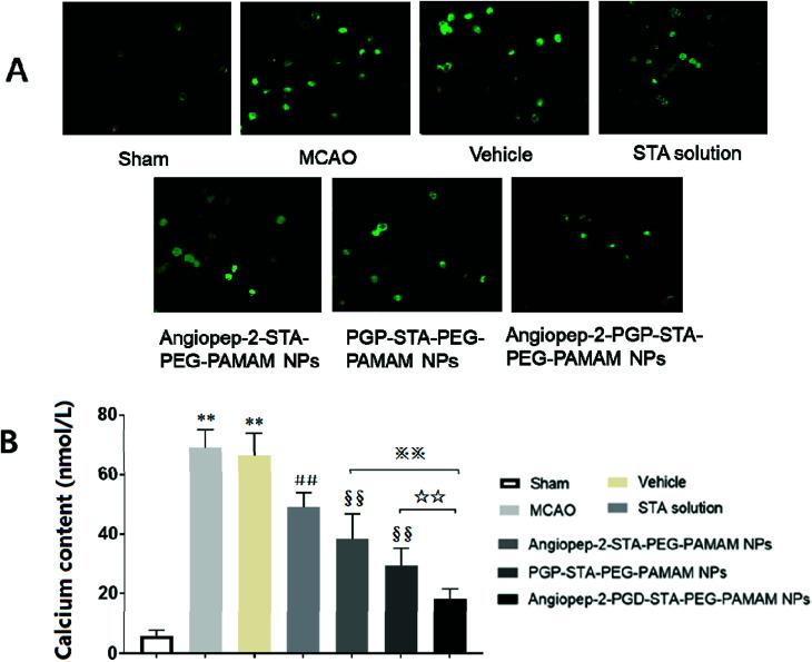 https://cdn.ncbi.nlm.nih.gov/pmc/blobs/5379/9059646/194ca6d28519/c8ra06688d-f8.jpg