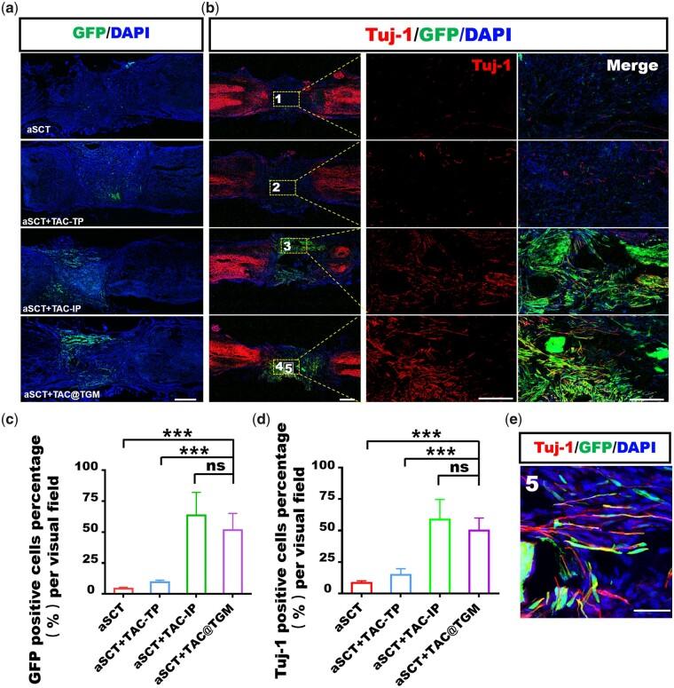 https://cdn.ncbi.nlm.nih.gov/pmc/blobs/537a/9845520/c010698cd272/rbac097f4.jpg