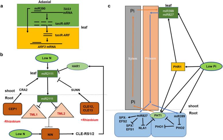 https://cdn.ncbi.nlm.nih.gov/pmc/blobs/537b/11393275/f2b5117b6f6d/44154_2024_181_Fig3_HTML.jpg