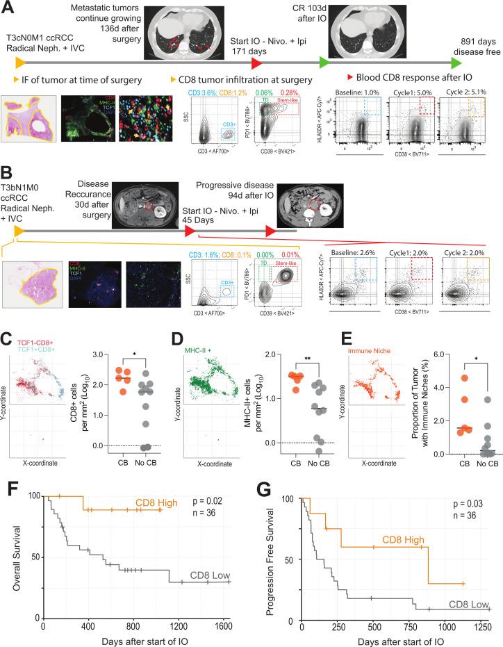 https://cdn.ncbi.nlm.nih.gov/pmc/blobs/537b/9310235/afdadb42f3b3/jitc-2022-004803f04.jpg