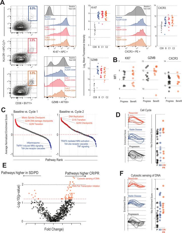 https://cdn.ncbi.nlm.nih.gov/pmc/blobs/537b/9310235/deaf25358e90/jitc-2022-004803f02.jpg