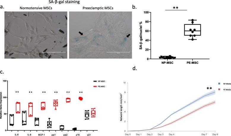 https://cdn.ncbi.nlm.nih.gov/pmc/blobs/537f/6744626/33124b012e5e/13293_2019_263_Fig4_HTML.jpg