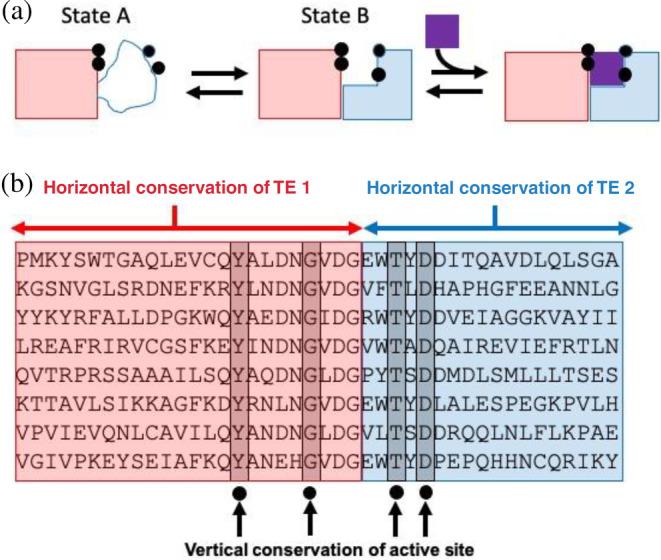 https://cdn.ncbi.nlm.nih.gov/pmc/blobs/5382/11837041/d3a122e7c2de/PRO-34-e70015-g006.jpg