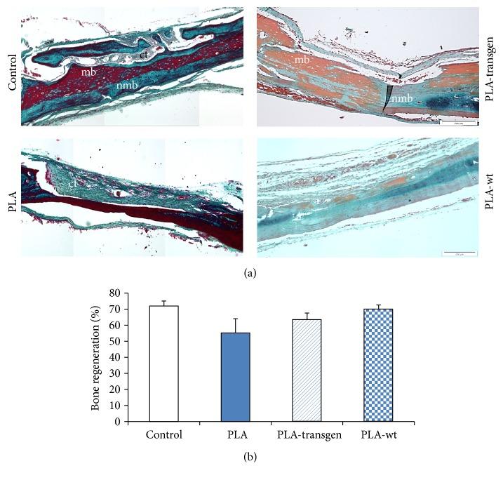 https://cdn.ncbi.nlm.nih.gov/pmc/blobs/5382/4997065/7200adc7dbea/BMRI2016-5146285.001.jpg