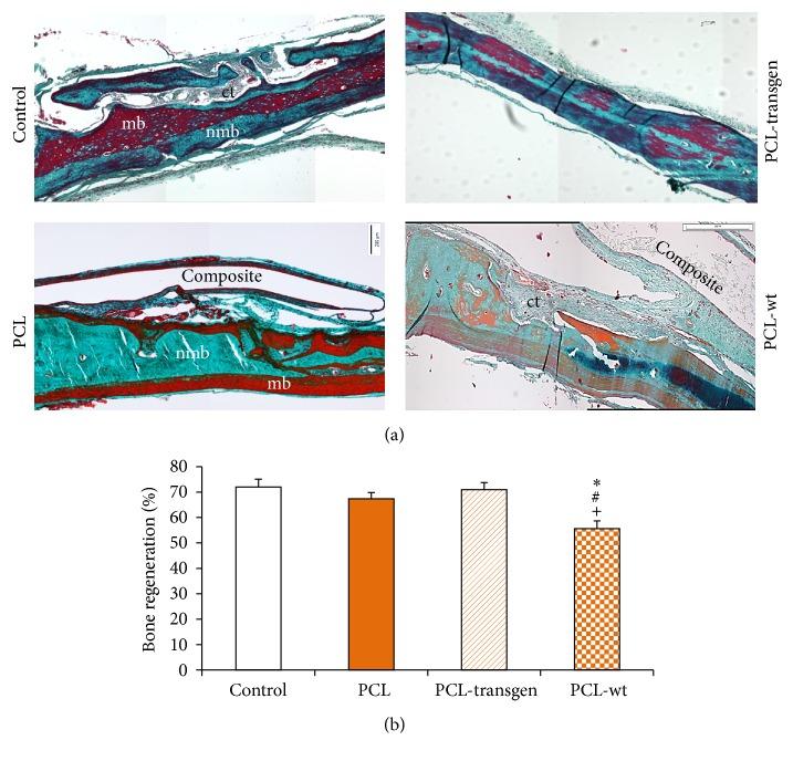https://cdn.ncbi.nlm.nih.gov/pmc/blobs/5382/4997065/f540e5fdf048/BMRI2016-5146285.002.jpg