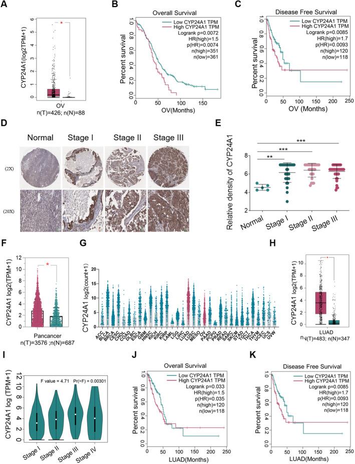 https://cdn.ncbi.nlm.nih.gov/pmc/blobs/5383/11967274/8f8e6b2bb686/CAS-116-910-g003.jpg