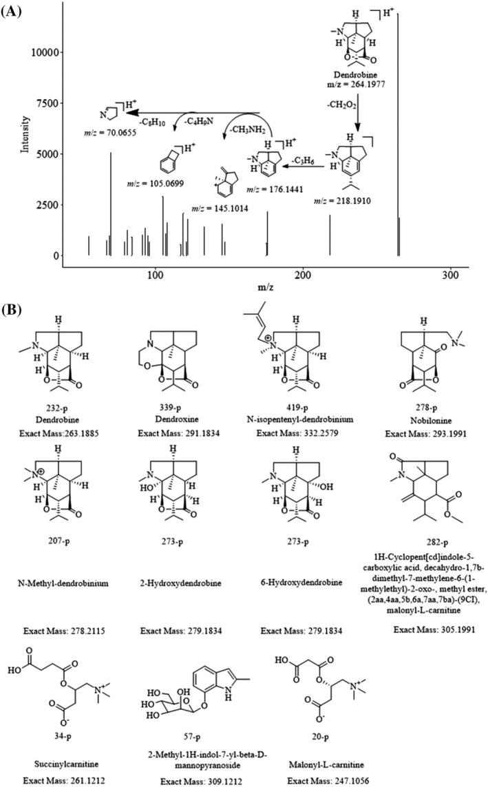 https://cdn.ncbi.nlm.nih.gov/pmc/blobs/5383/9541022/34364916055d/PCA-33-619-g002.jpg
