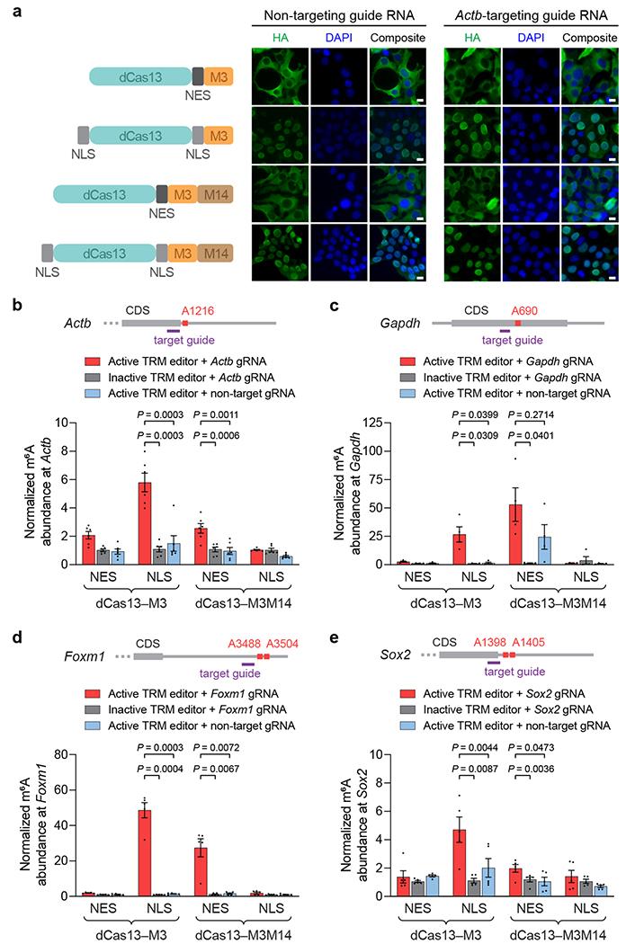 https://cdn.ncbi.nlm.nih.gov/pmc/blobs/5384/7718427/43adbaf52328/nihms-1596856-f0004.jpg