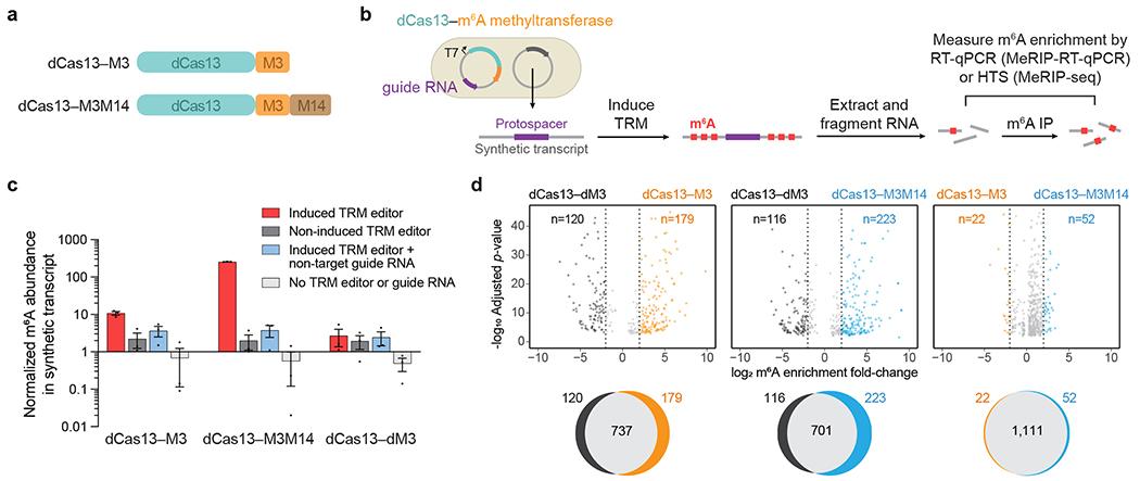 https://cdn.ncbi.nlm.nih.gov/pmc/blobs/5384/7718427/a0d37ffa7fcf/nihms-1596856-f0002.jpg