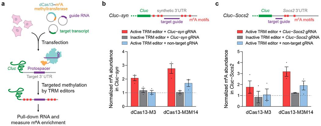 https://cdn.ncbi.nlm.nih.gov/pmc/blobs/5384/7718427/fcf996e132f1/nihms-1596856-f0003.jpg